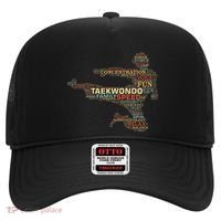 Taekwondo Martial Arts Fighter Tae Kwon Do Words Kicking Hat thumb 0