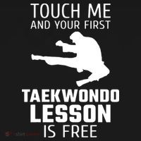 Touch Me And Your First Taekwondo Lesson Is Free Ornament thumb 1