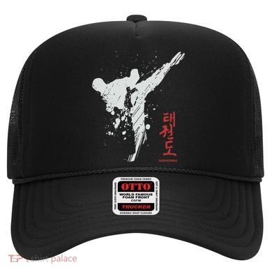 Taekwondo Martial Arts Tkd Gift Hat