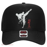 Taekwondo Martial Arts Tkd Gift Hat thumb 0
