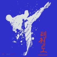 Taekwondo Martial Arts Tkd Gift Tumbler thumb 3