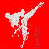 Taekwondo Martial Arts Tkd Gift Santa Hat thumb 1
