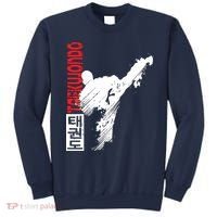 Taekwondo Martial Art Distressed Style Kick Tee Sweatshirt thumb 0