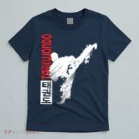 Taekwondo Martial Art Distressed Style Kick Tee T-Shirt thumb 5