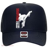 Taekwondo Martial Art Distressed Style Kick Tee Hat thumb 0