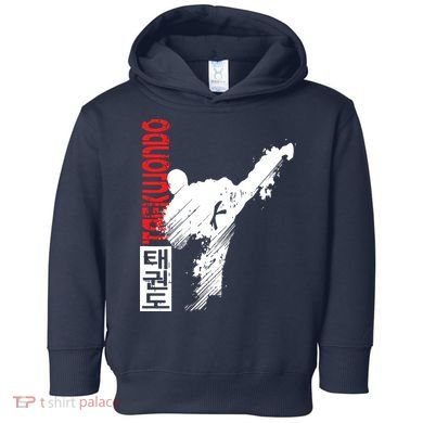Taekwondo Martial Art Distressed Style Kick Tee Toddler Hoodie
