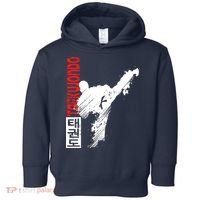 Taekwondo Martial Art Distressed Style Kick Tee Toddler Hoodie thumb 0