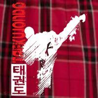 Taekwondo Martial Art Distressed Style Kick Tee Men's Flannel Plaid Pajama Pants thumb 2