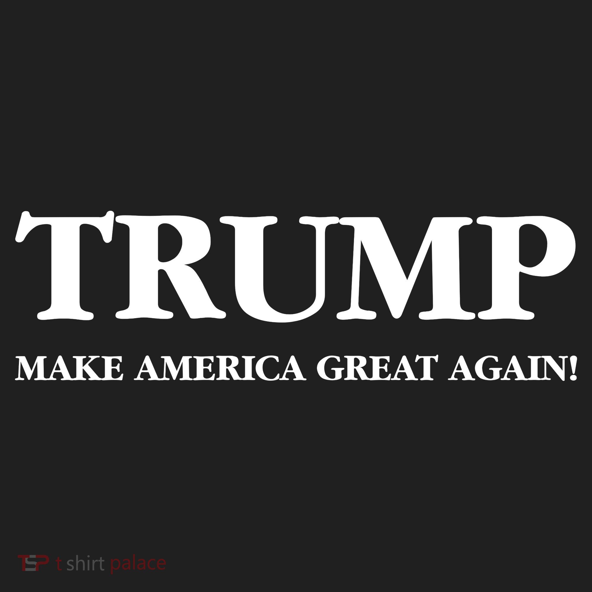 Trump Make America Great Again Trump 2024 Patriotic Beanie