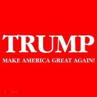 Trump Make America Great Again Trump 2024 Patriotic Polo thumb 2