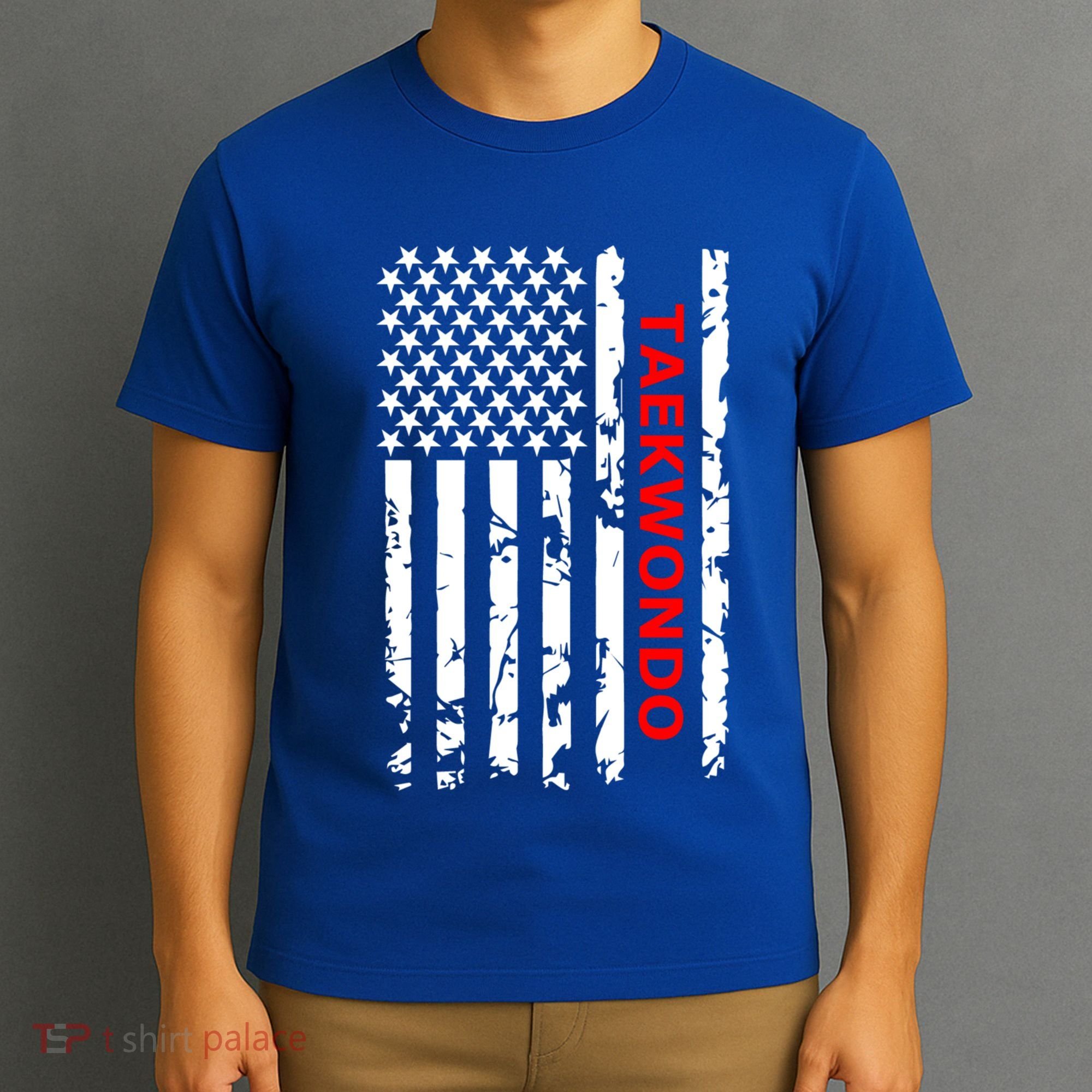 Taekwondo Martial Arts Great Gift T-Shirt