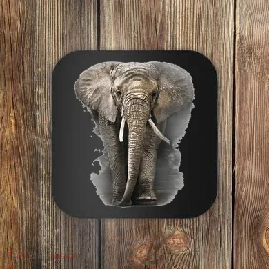 Coaster