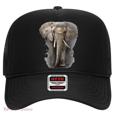 The Mountain African Elephant Hat