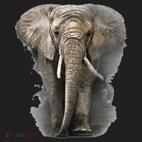 The Mountain African Elephant Hat thumb 2