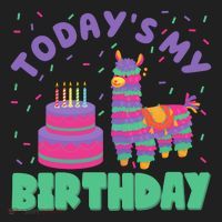Todays My Birthday Llama Party Women's Sweatshirt thumb 2
