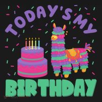 Todays My Birthday Llama Party Coaster thumb 2