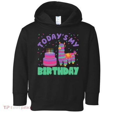 Todays My Birthday Llama Party Toddler Hoodie