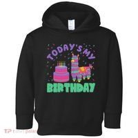 Todays My Birthday Llama Party Toddler Hoodie thumb 0