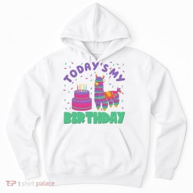Todays My Birthday Llama Party Hoodie
