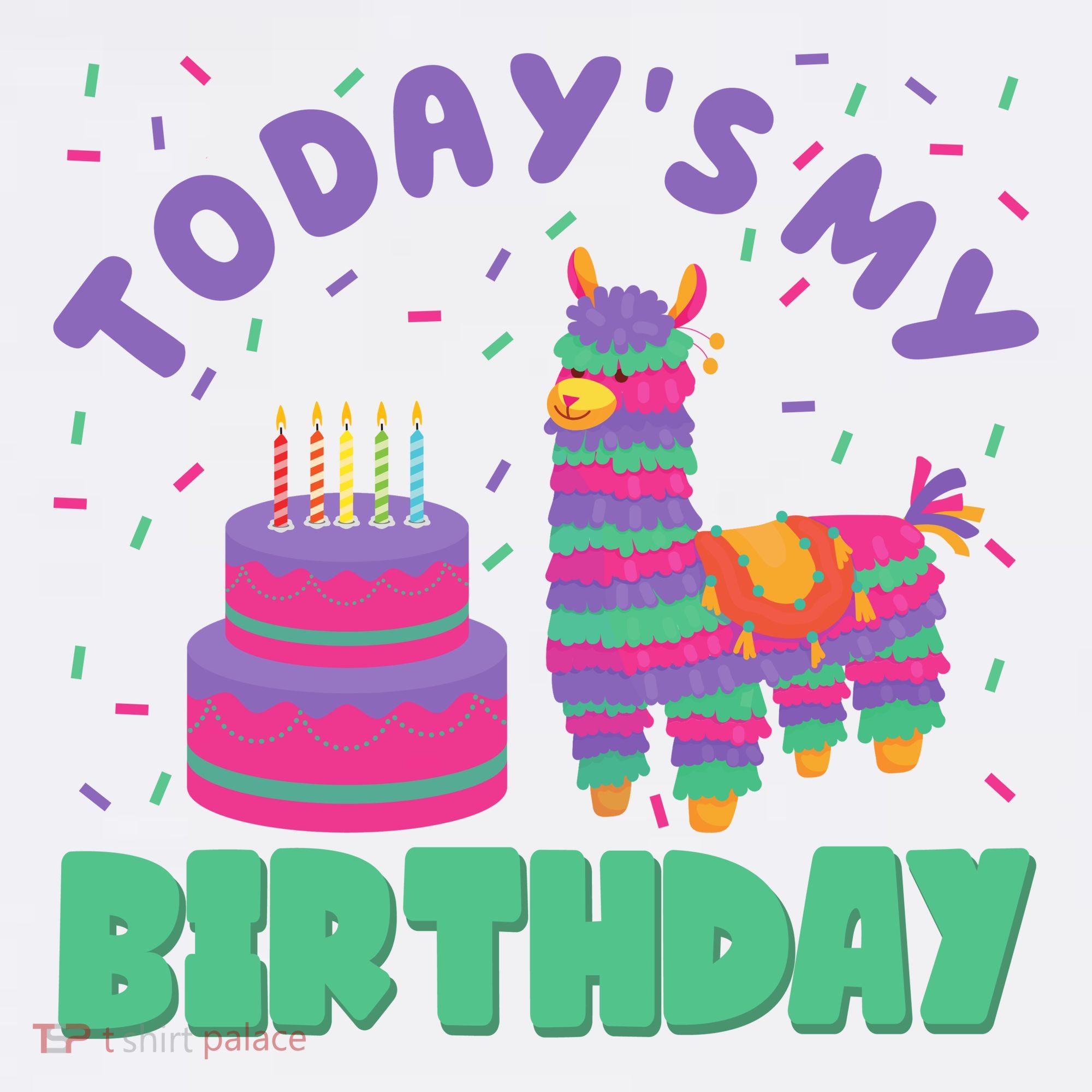 Todays My Birthday Llama Party Women's Hoodie