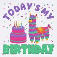 Todays My Birthday Llama Party Mousepad thumb 1