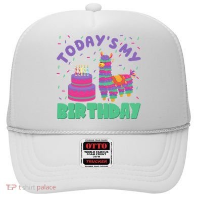 Todays My Birthday Llama Party Hat
