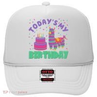 Todays My Birthday Llama Party Hat thumb 0
