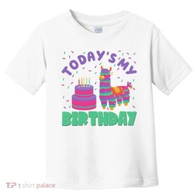 Todays My Birthday Llama Party Toddler T-Shirt