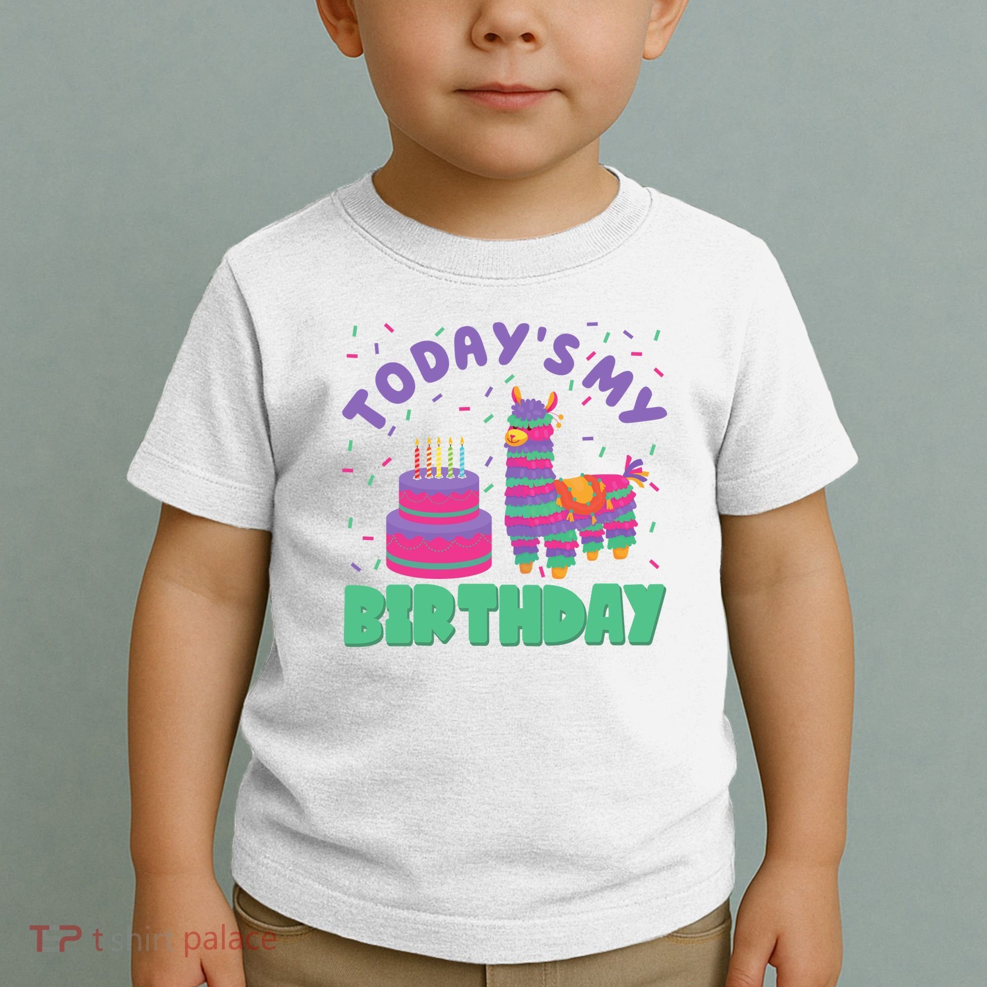 Todays My Birthday Llama Party Toddler T-Shirt