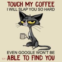 Touch My Coffee I Will Slap You So Hard Funny Cat Lover Gift Comfort Colors Boxy T-Shirt thumb 3