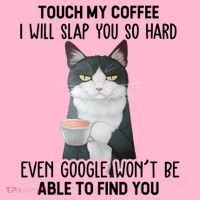 Touch My Coffee I Will Slap You So Hard Cat Coffee Lovers Mousepad thumb 1