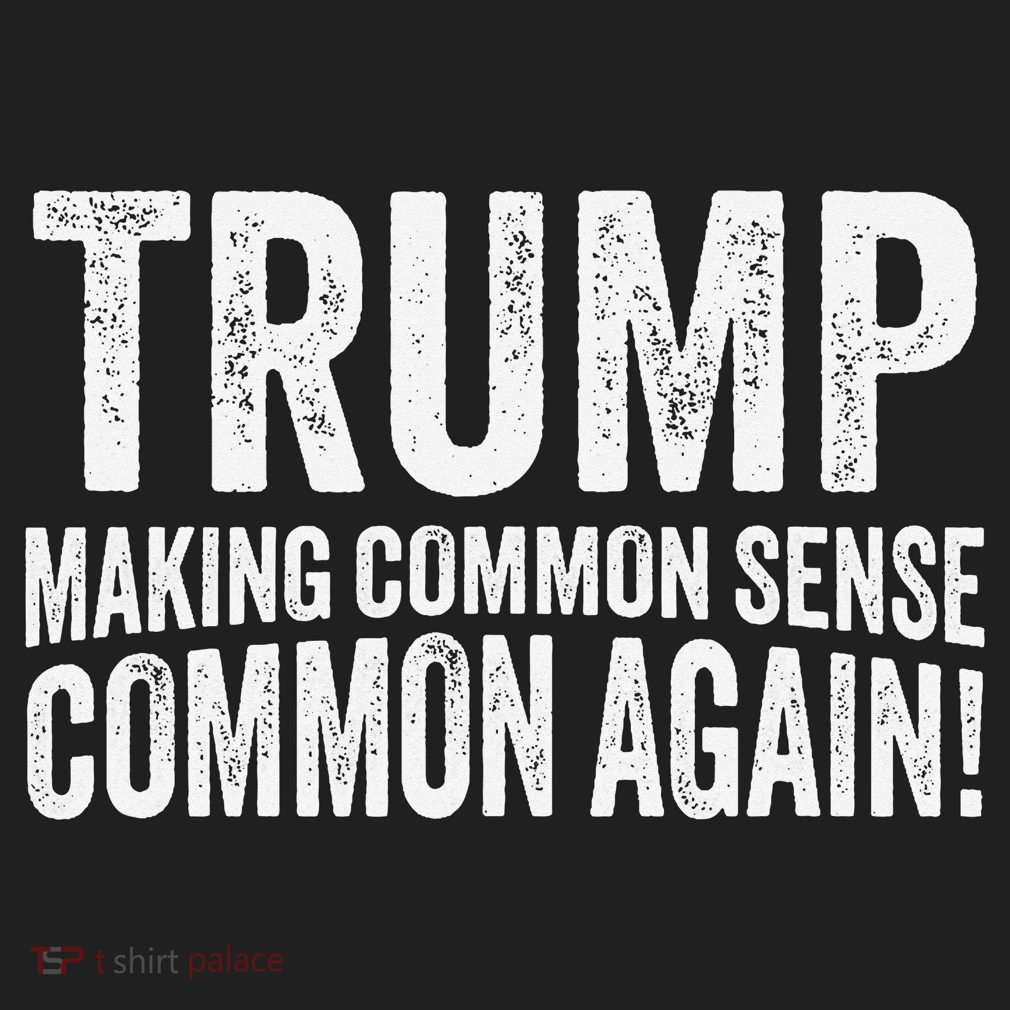 Trump Making Common Sense Common Again Beanie