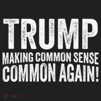 Trump Making Common Sense Common Again Hat thumb 2
