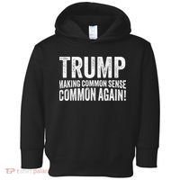 Trump Making Common Sense Common Again Toddler Hoodie thumb 0