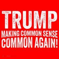 Trump Making Common Sense Common Again Santa Hat thumb 1