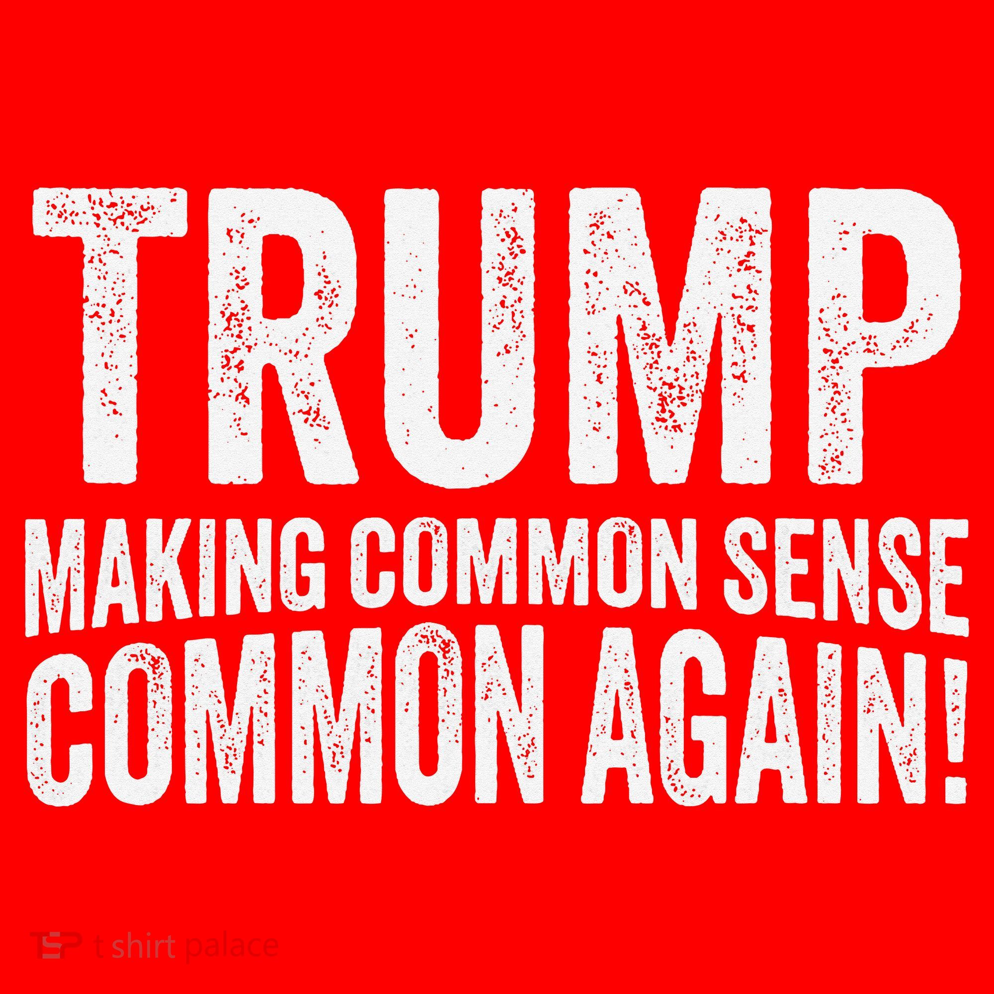 Trump Making Common Sense Common Again Santa Hat