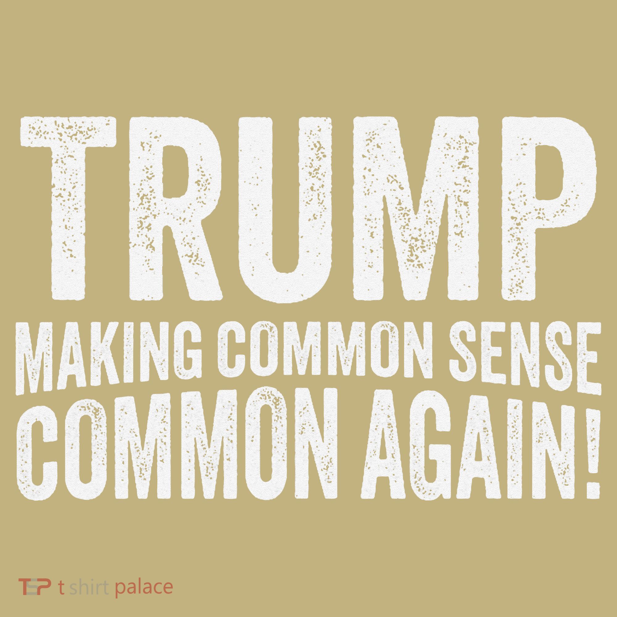 Trump Making Common Sense Common Again Kids T-Shirt