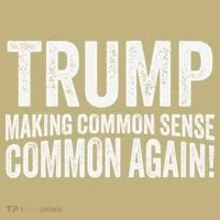 Trump Making Common Sense Common Again Kids T-Shirt thumb 2