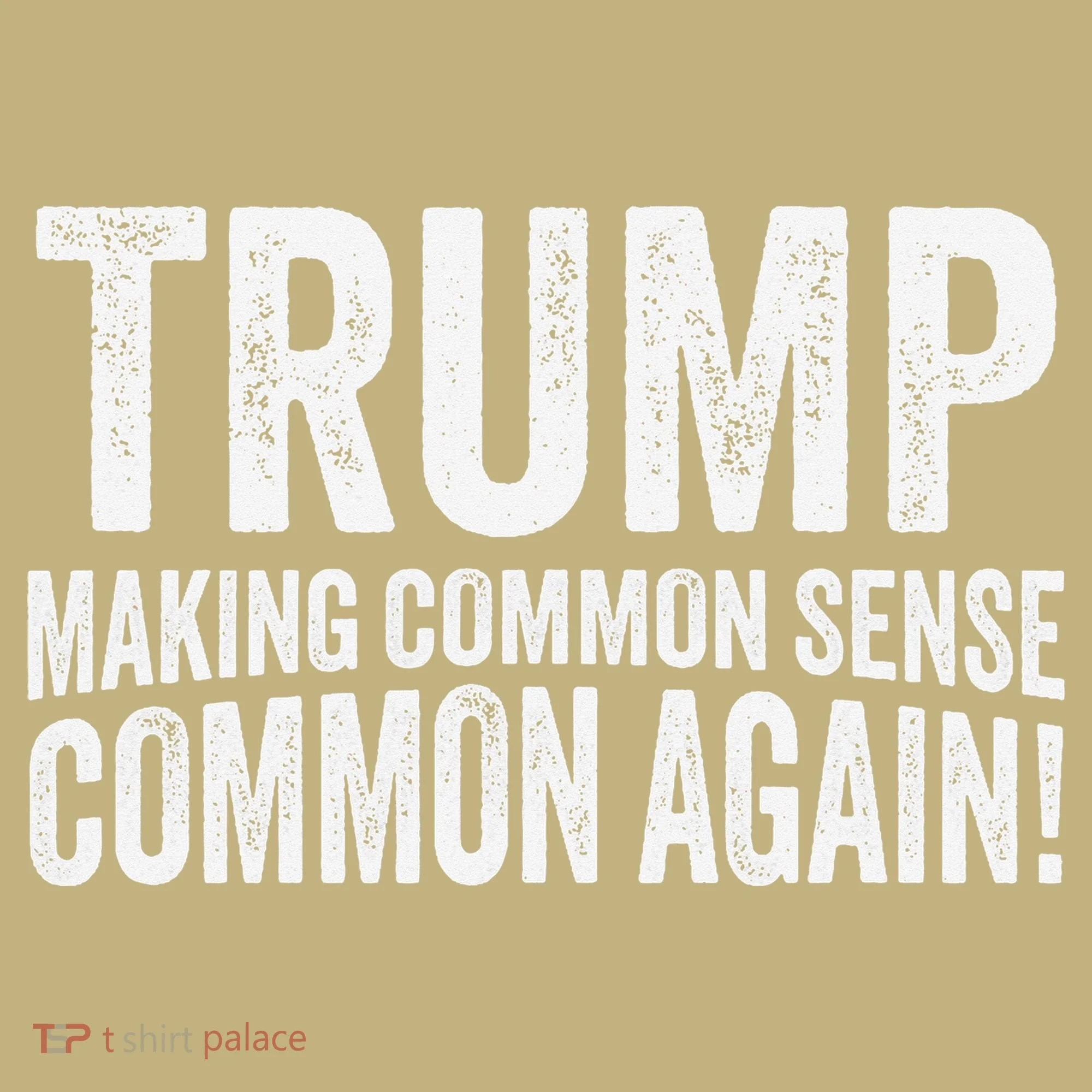 Trump Making Common Sense Common Again Kids T-Shirt