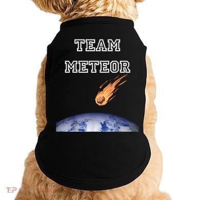 Team Meteor Crashing Into Planet Doggie Tank