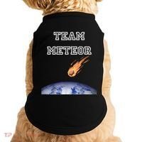 Team Meteor Crashing Into Planet Doggie Tank thumb 0