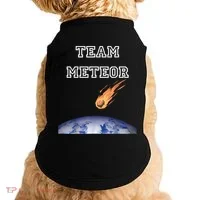 Team Meteor Crashing Into Planet Doggie Tank thumb 0