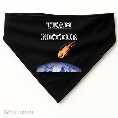 Team Meteor Crashing Into Planet USA-Made Doggie Bandana