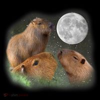 Three Moon Capybaras Cute Gift Funny Cute Animal Parody Tee Women's Hoodie thumb 2