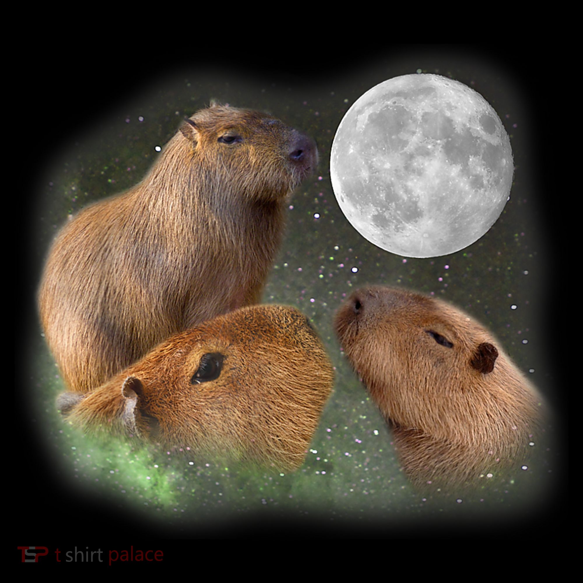 Three Moon Capybaras Cute Gift Funny Cute Animal Parody Tee Women's Hoodie