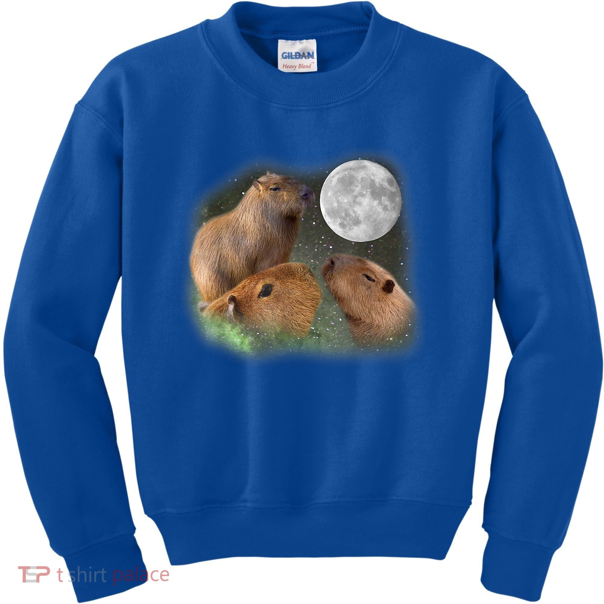 Three Moon Capybaras Cute Gift Funny Cute Animal Parody Tee Kids Sweatshirt