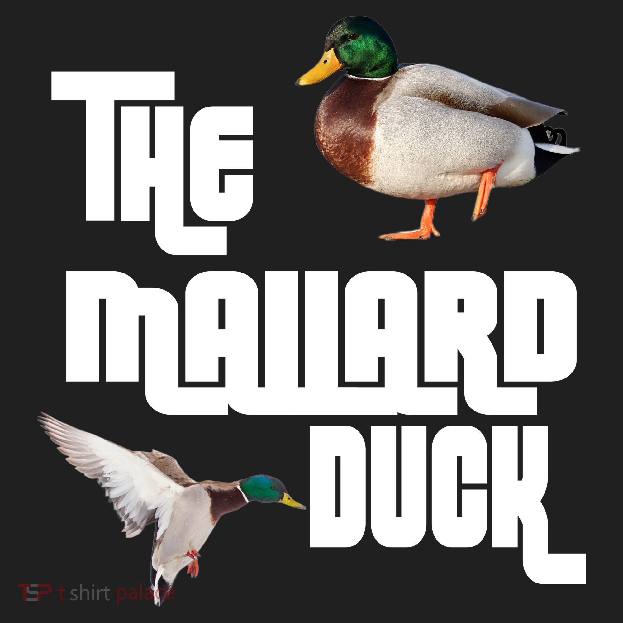 The Mallard Duck Beanie