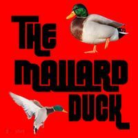 The Mallard Duck Santa Hat thumb 1