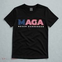 Trump Maga Freedom Never Surrender 4th Of July 2024 Usa Flag Hoodie T-Shirt thumb 5