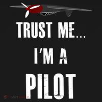 Trust Me I'm A Pilot Funny Aviation Flying Gift Ornament thumb 1